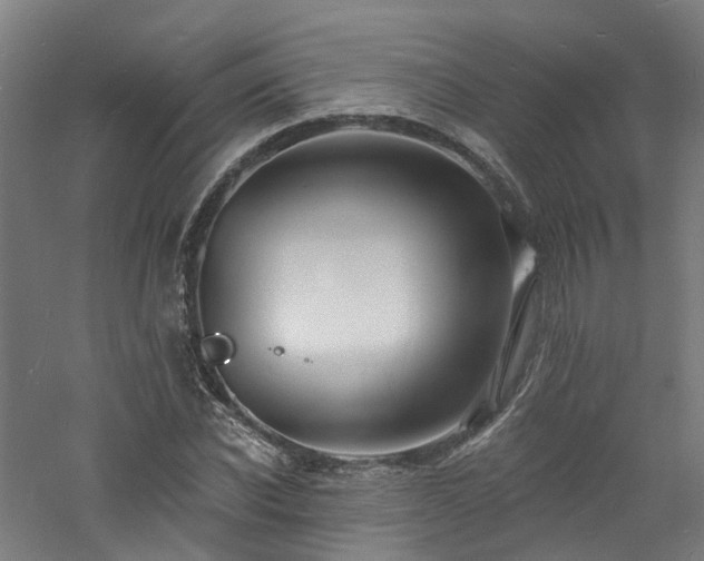 X0000060740926200511101104