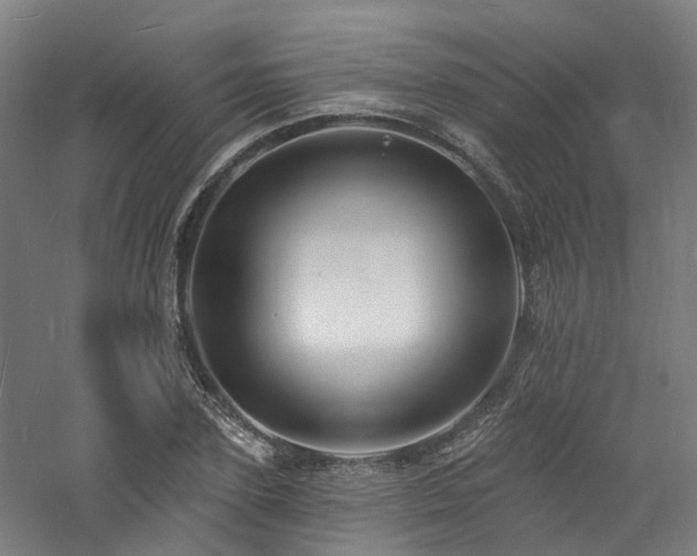 X0000060740931200511101104