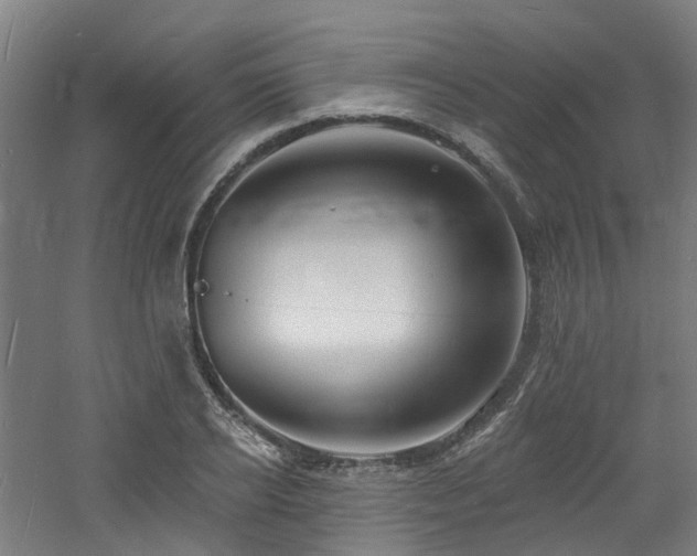 X0000060740934200511101104