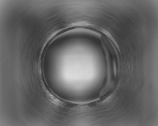 X0000060740939200511101104