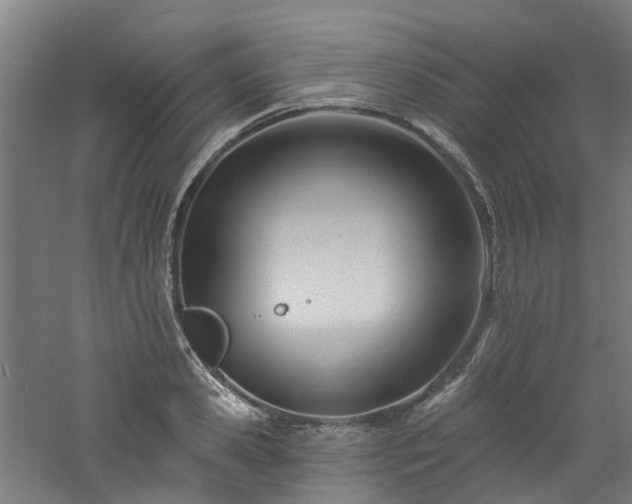 X0000060740941200511101104