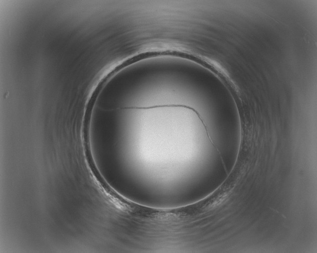 X0000060740943200511101104