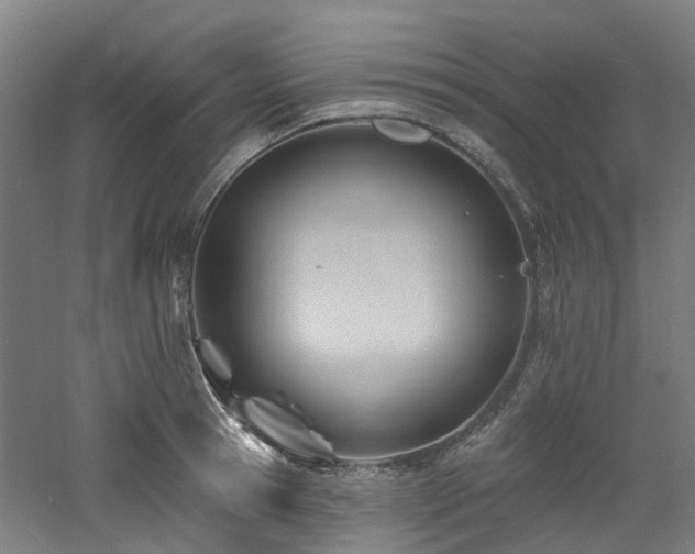 X0000060740945200511101104