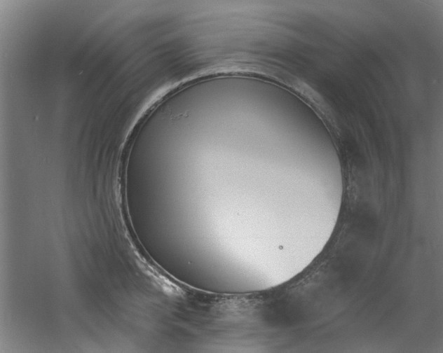 X0000060740950200511101104