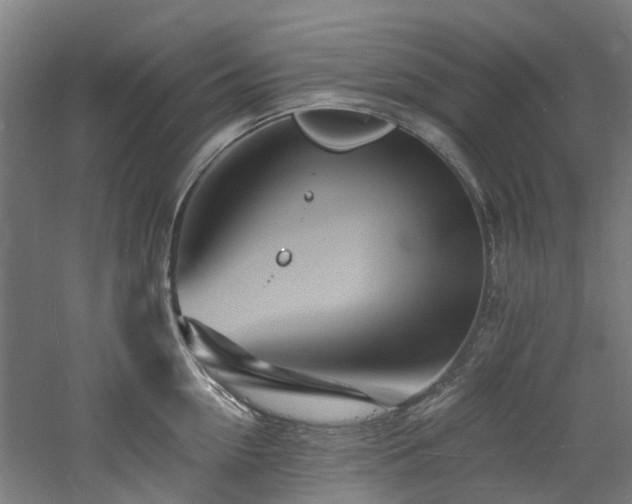 X0000060740954200511101104