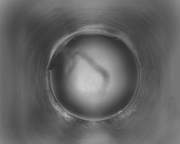 X0000060740960200511101104