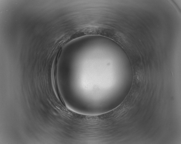 X0000060740964200511101103