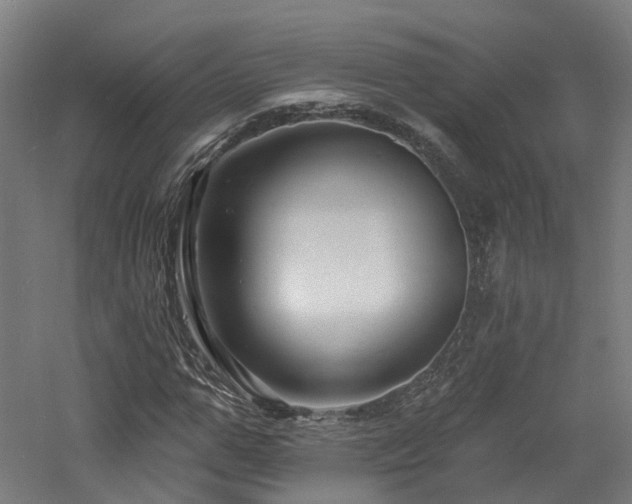 X0000060740967200511101103