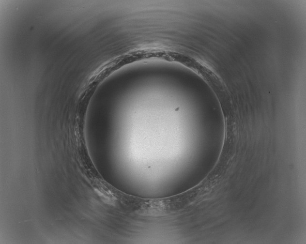 X0000060740968200511101103