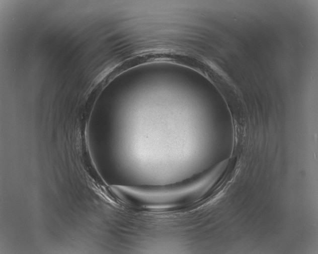 X0000060740969200511101103