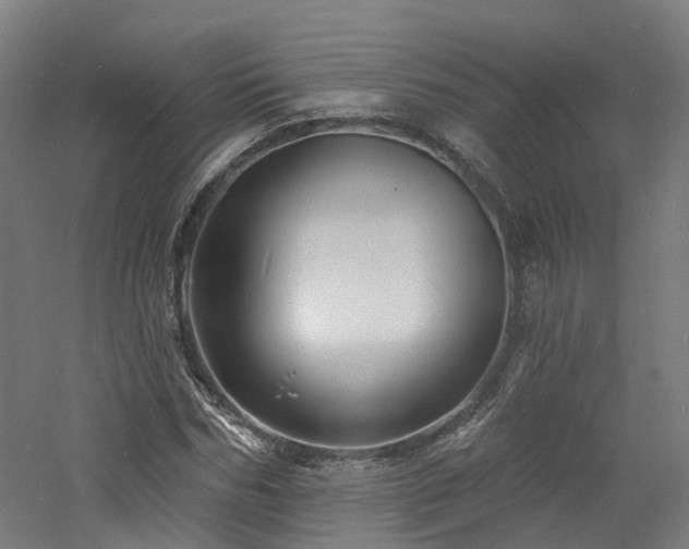 X0000060740970200511101103