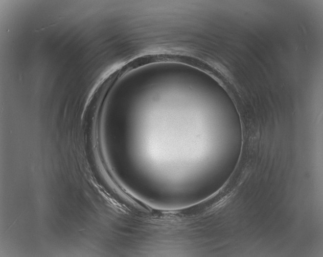 X0000060740974200511101103