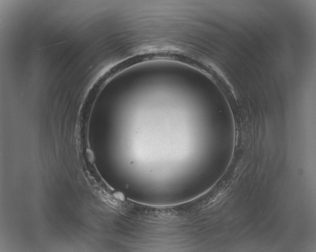 X0000060740975200511101103