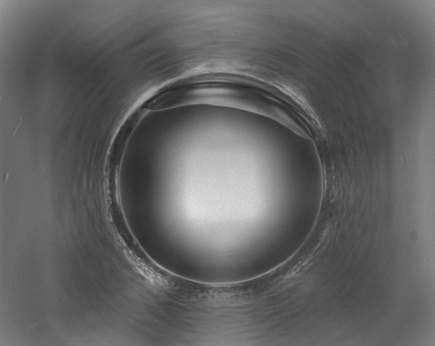 X0000060740976200511101103