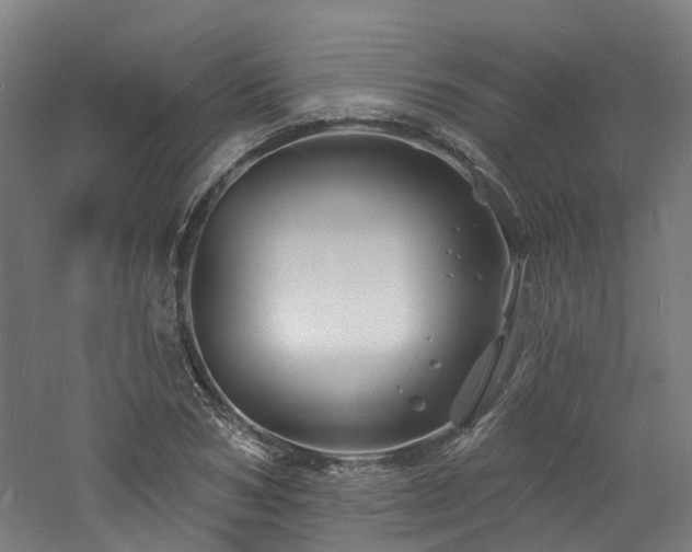 X0000060740978200511101103