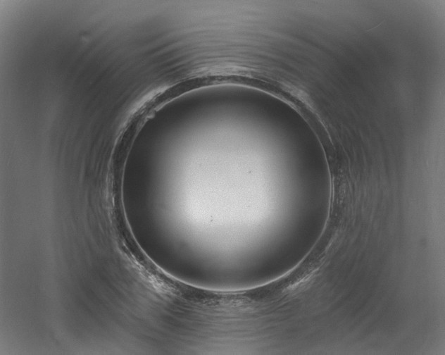 X0000060740979200511101103