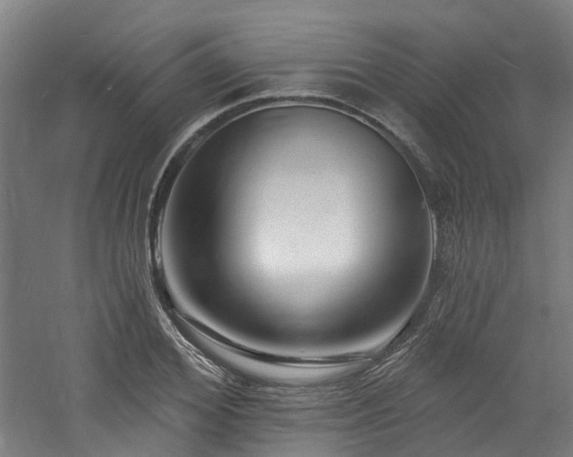 X0000060740980200511101103