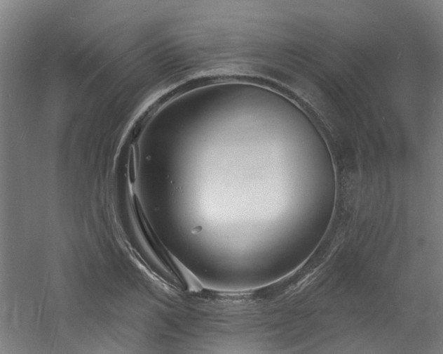 X0000060740982200511101103