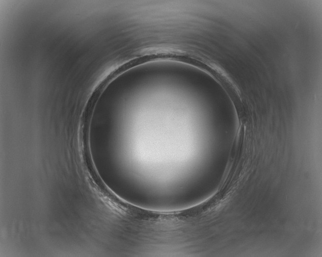 X0000060740983200511101103