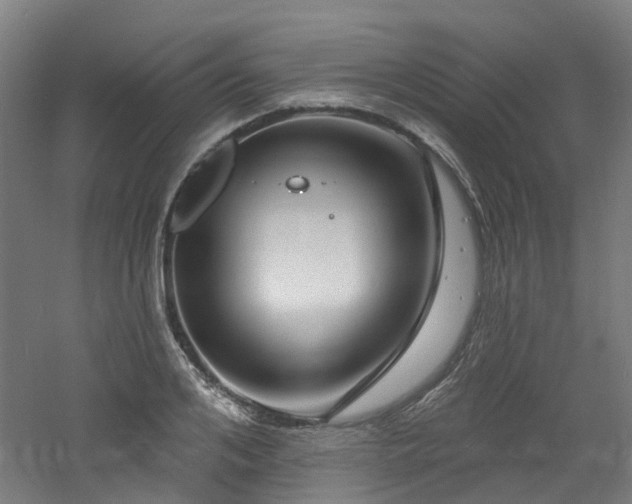 X0000060740984200511101103