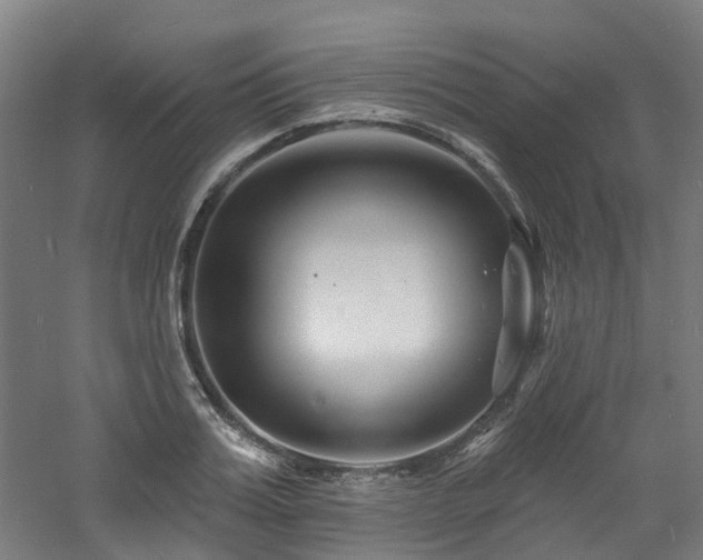 X0000060740987200511101103