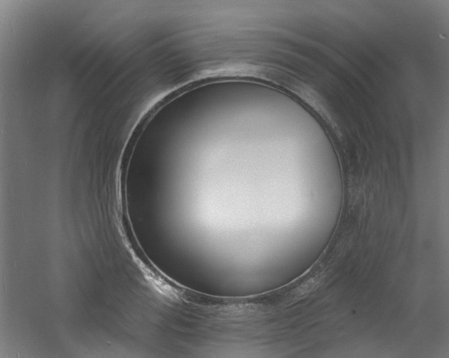 X0000060740988200511101103