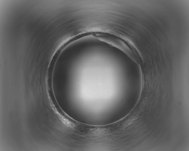 X0000060740991200511101103