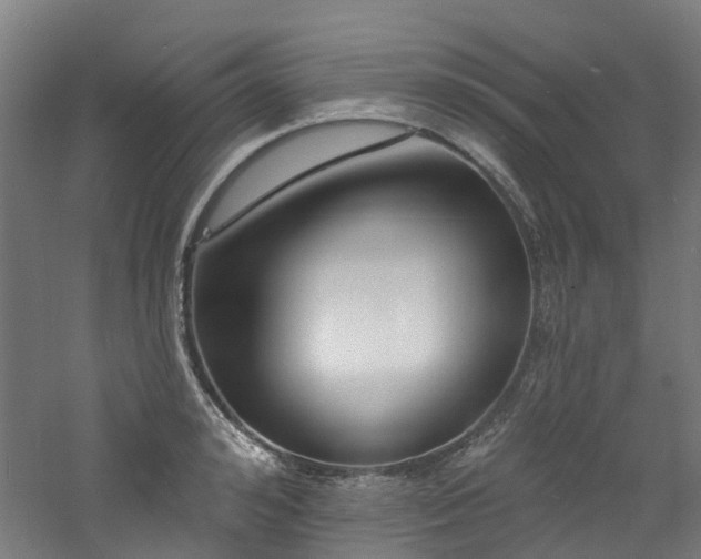 X0000060740992200511101103