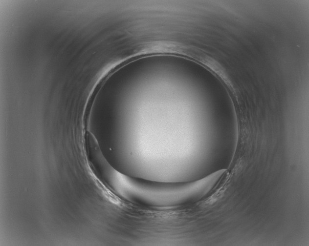 X0000060740996200511101103