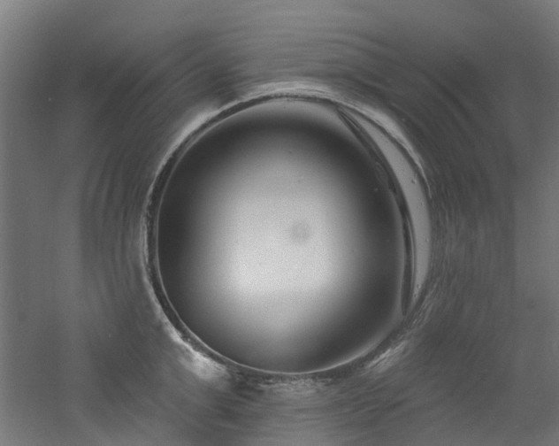 X0000060740999200511101103