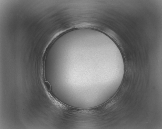 X0000060741000200511101103