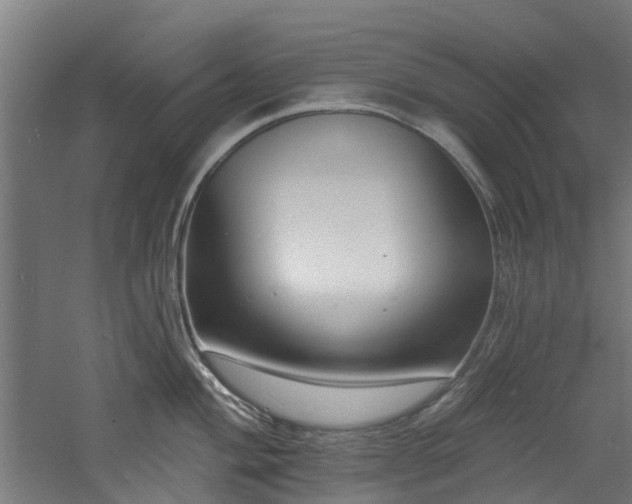 X0000060741004200511101103