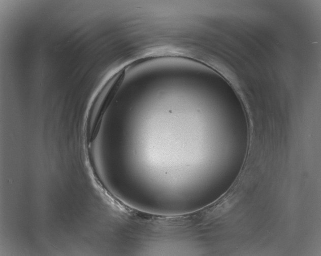 X0000060741008200511101103