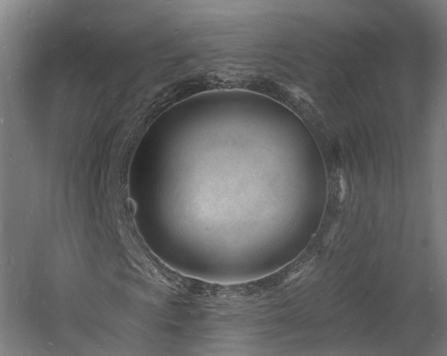 X0000060741009200511101102