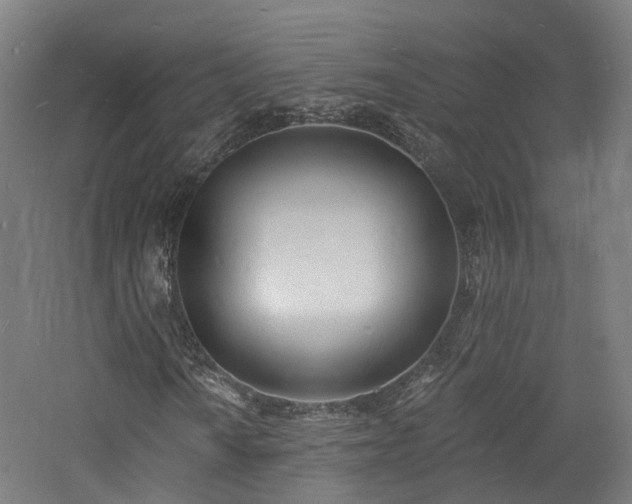 X0000060741010200511101102