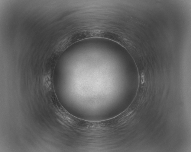 X0000060741011200511101102