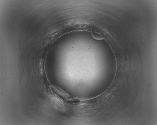 X0000060741013200511101102