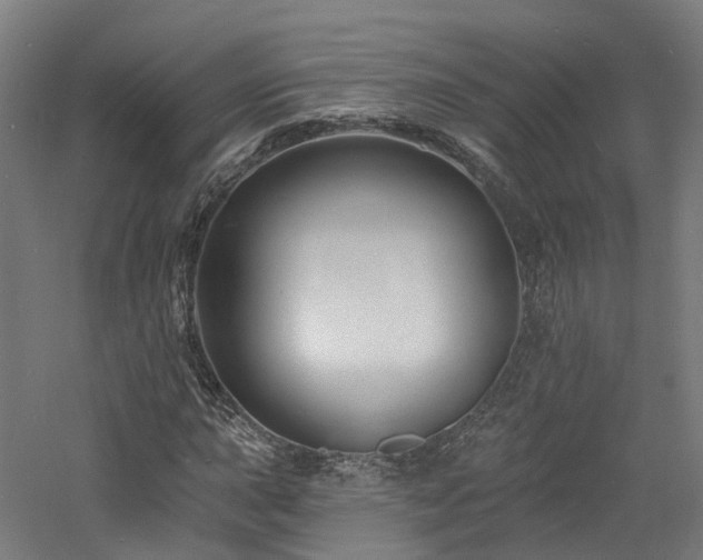 X0000060741015200511101102