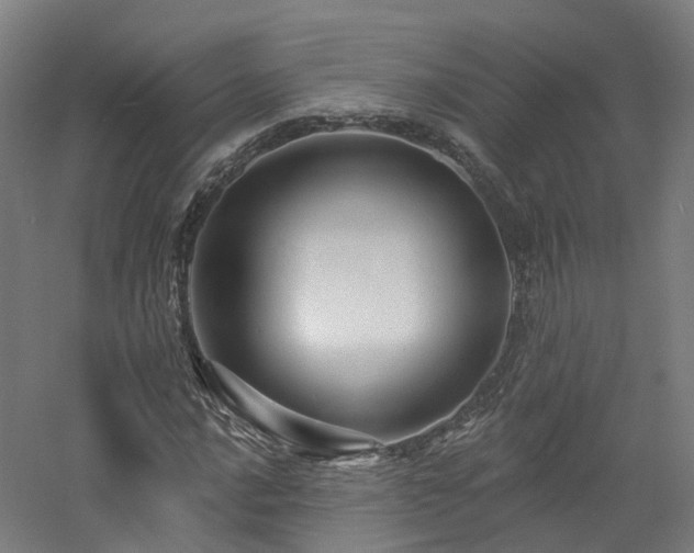 X0000060741016200511101102