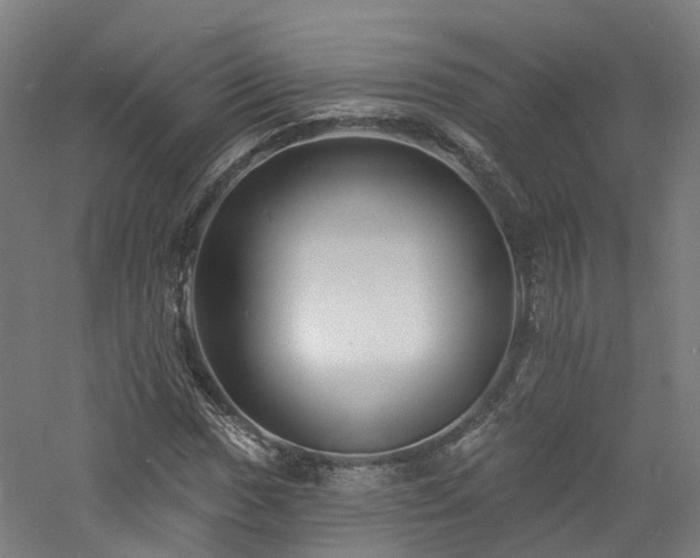 X0000060741017200511101102