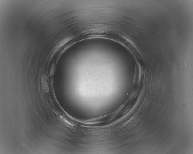 X0000060741018200511101102