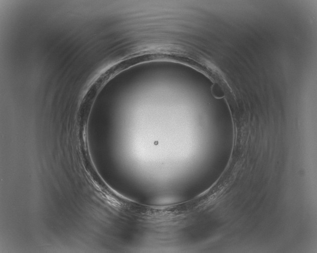 X0000060741019200511101102