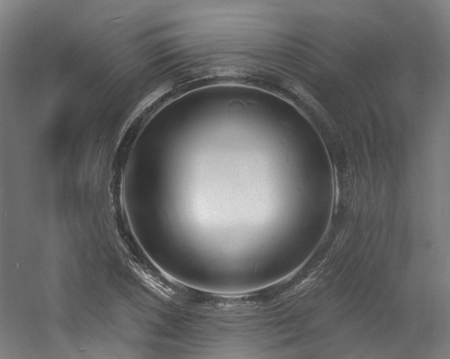 X0000060741026200511101102