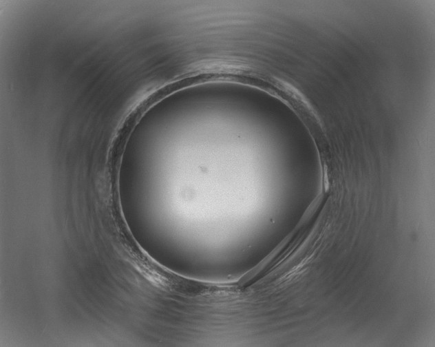 X0000060741027200511101102