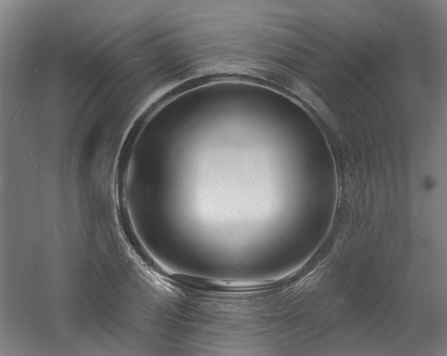 X0000060741028200511101102