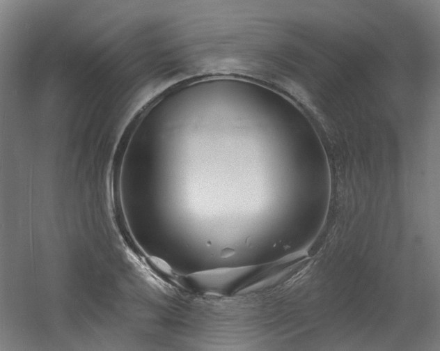 X0000060741032200511101102