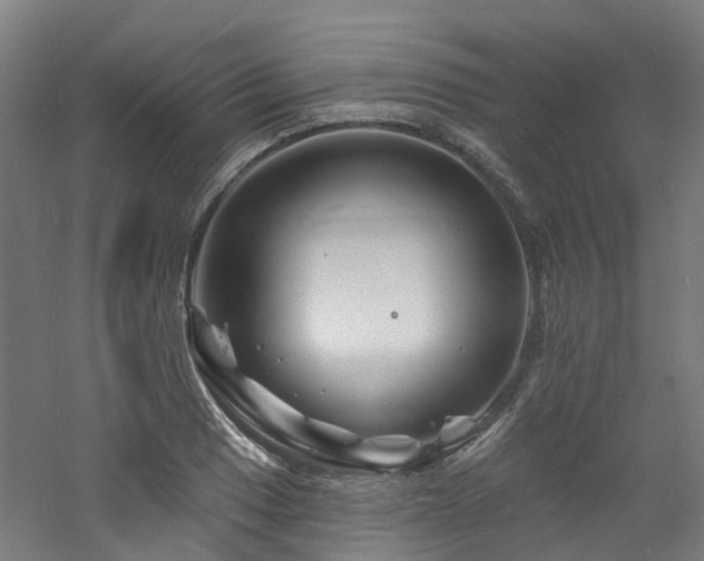 X0000060741033200511101102