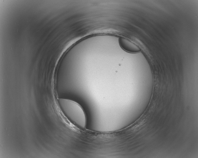 X0000060741044200511101103