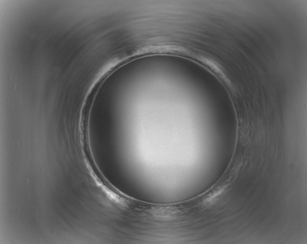 X0000060741046200511101103