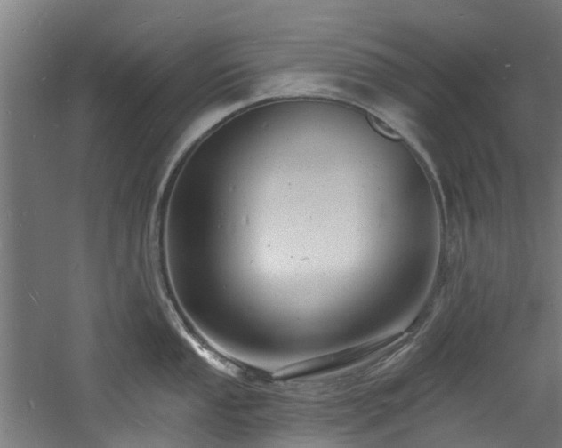 X0000060741053200511101103